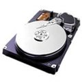 Einbaufertige Festplatte fr XBox (400 GB)
